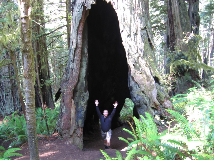 Ich in en grosse Redwood Baam!